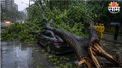 Fallen trees block roads in Mumbai after heavy rainfall, raising concerns over the impact of concrete roads on urban greenery and public safety.
