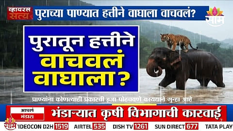 Elephant Rescues Tiger in Flood