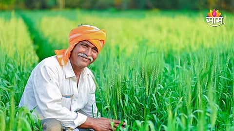 India bans Paraquat herbicide latest update