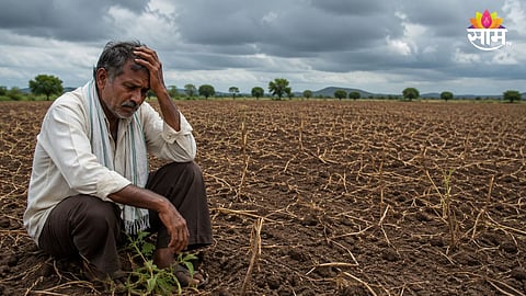 YAVATMAL SOYBEAN CRISIS: 21 SEED SAMPLES FOUND SUBSTANDARD, ACTION AGAINST COMPANIES BEGINS