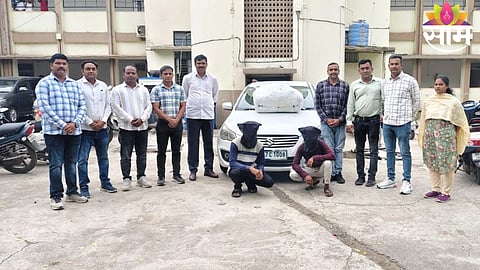 Police display 16 kg of seized ganja along with the vehicle used in smuggling during a major LCB operation in Dhule.