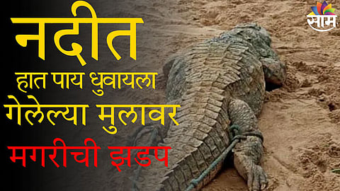 VIRAL VIDEO : डोळ्यांदेखत मगरीनं त्या मुलाला नदीत खेचलं अन्...काळजाचा थरकाप उडवणारा VIDEO व्हायरल, बघून हादराल!   