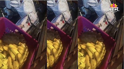 Borivali viral video