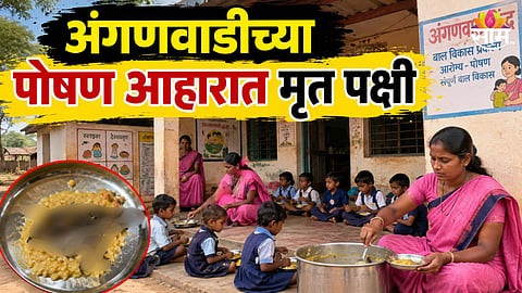 DEAD BIRD FOUND IN ANGANWADI NUTRITION FOOD PACKET IN DEVGAON NIPHAD | NASHIK NEWS