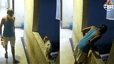 अंबरनाथमध्ये क्रूरतेचा कळस! १२व्या मजल्यावरून मांजरीला ढकलल्याचा धक्कादायक VIDEO व्हायरल