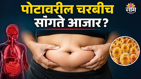 Belly fat