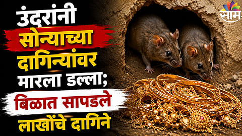 VIRAL VIDEO : ज्वेलर्समधून १० लाखांचे सोन्याचे दागिने गायब, सीसीटीव्ही फुटेज बघितल्यानंतर हादरलाच, मालकाचा जीव भांड्यात पडला, VIDEO व्हायरल