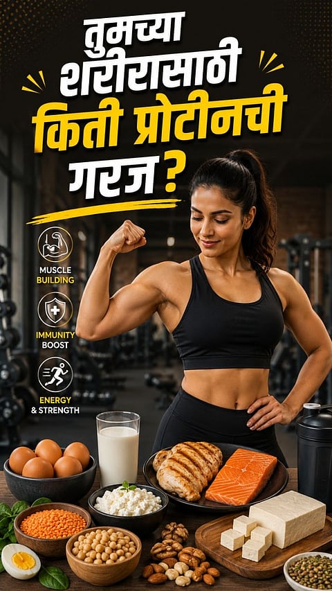 Healthy Lifestyle protein diet plan