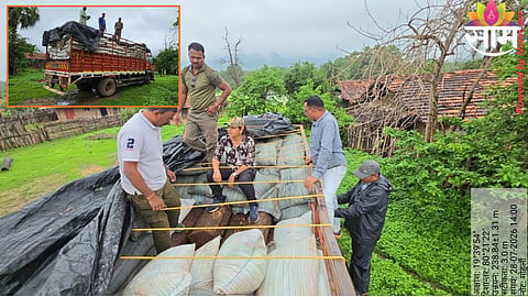 FOREST DEPARTMENT SEIZES TEAK WOOD WORTH ₹60 LAKH IN GADCHIROLI
