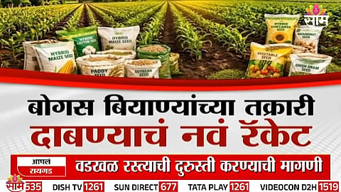 Farmers display failed soybean crops allegedly caused by fake seeds amid rising complaints in Maharashtra