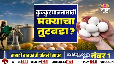 ETHANOL EFFECT ON EGG PRICES
