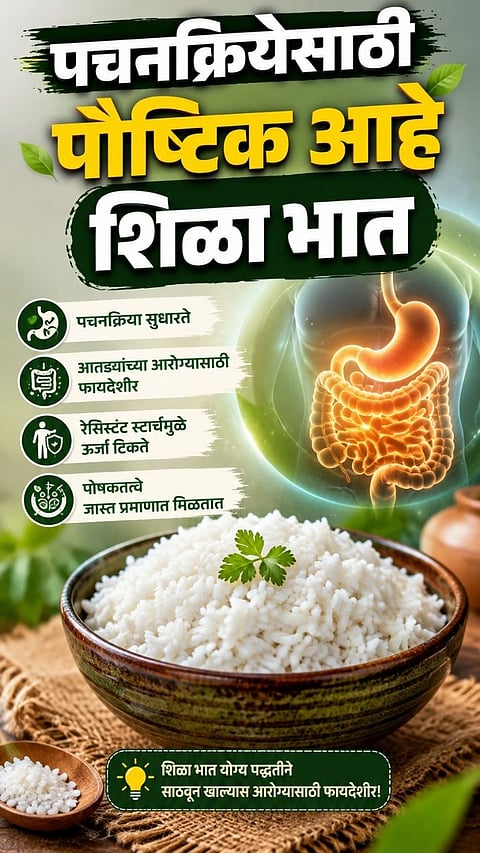 Leftover Rice Healthy or Harmful 