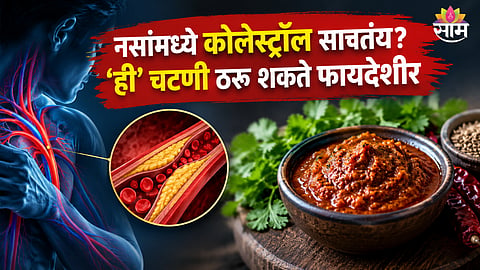 Chutney For Cholesterol