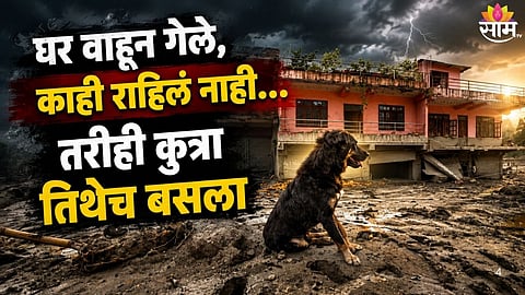 NEPAL FLOODS: LOYAL DOGS STILL WAIT FOR THEIR MISSING OWNERS AMID THE RUINS