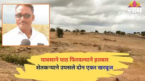 FARMER UPROOTS 2-ACRE MUSKMELON CROP AMID WATER CRISIS