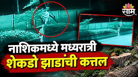 Nashik Gangapur Road hundreds of trees cut overnight