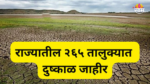 Maharashtra Drought: राज्यातील कोणत्या 265 तालुक्यात दुष्काळ जाहीर, तुमच्या गावाचा समावेश आहे का? पाहा संपूर्ण यादी
