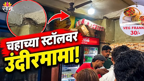 Mumbai Churchgate Railway Station Rat Viral Video 