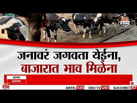 MAHARASHTRA DROUGHT