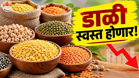 pulses prices may decrease 