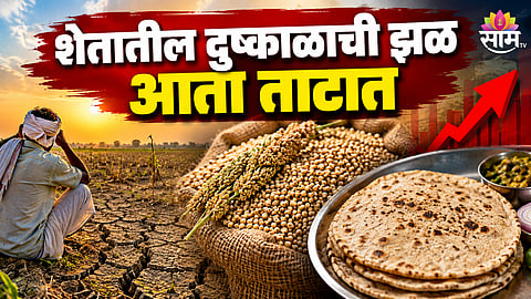 MAHARASHTRA JOWAR PRICE CROSSES ₹100 PER KG