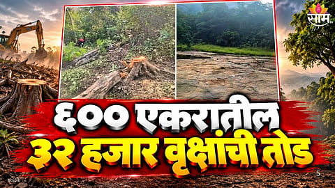 Raigad Tree Cutting: 32,000 Trees Reportedly Felled For Torrent Power Project