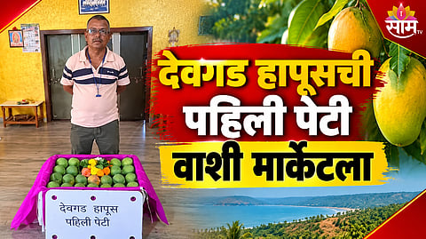 First box of Devgad Hapus mangoes sent to Vashi market