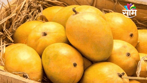 Mangoes