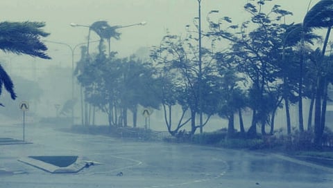 rain 