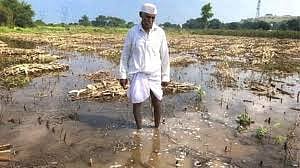 शेतकऱ्यांनो, सावधान!  येत्या काळात पावसाचे दोन खंड 