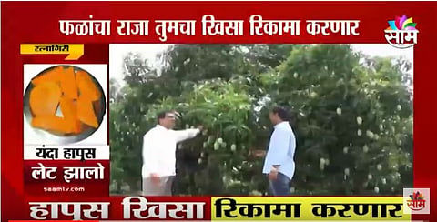 VIDEO| फळांचा राजा तुमचा खिसा खाली करणार