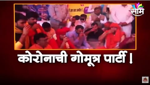 VIDEO | कोरोनापासून वाचण्यासाठी गोमूत्र पार्टी, गोमुत्राने खरंच कोरोना बरा होतो?