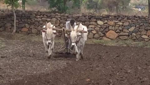  Farmers, do not rush to sow kharif