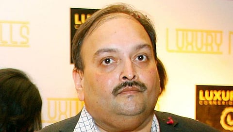 mehul choksi 