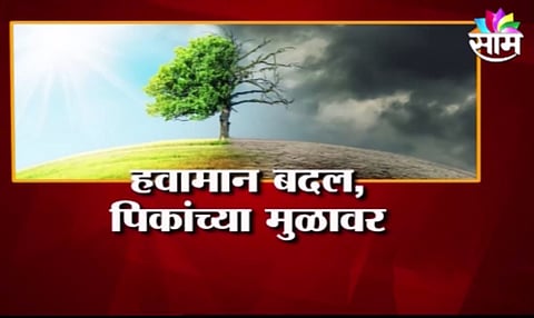 Climate change, crop roots