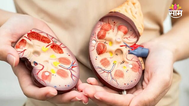 early signs of kidney stress you should never ignore kidneys are not ...