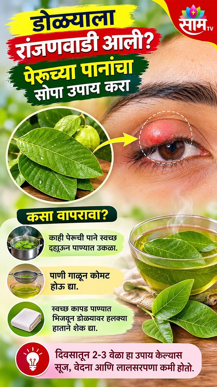 डोळ्याला रांजणवाडी आली असेल तर पेरूच्या पानांचा सोपा उपाय करा; मिळेल ...