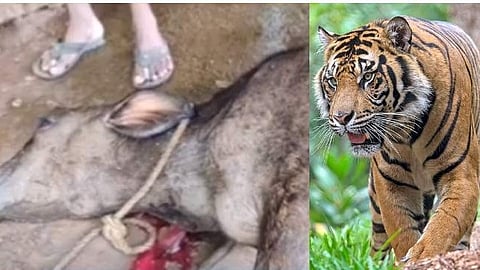 പ്രതീകാത്മക ചിത്രം 
