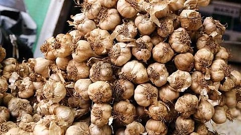 The price of garlic jumped again and crossed 440 rupees