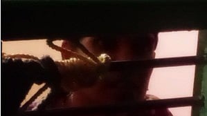 വീട്ടില്‍ പൂട്ടിയിട്ട യുവതി

