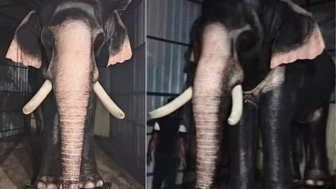 ഗൂഡല്ലൂരിലെ ശ്രീശങ്കരന്‍ കോവിലില്‍ ആദ്യ റോബോട്ടിക് ആനയെ നടയ്ക്കിരുത്തിയപ്പോള്‍ 

