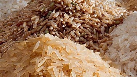  ശബരി കെ റൈസ് വിതരണോദ്ഘാടനം ബുധനാഴ്ച