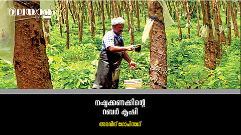 റബര്‍ കൃഷിക്ക് ഇനി ഭാവിയുണ്ടോ? - കര്‍ഷകര്‍ ചോദിക്കുന്നു