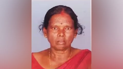 കാട്ടുപന്നികളെ വെടിവെച്ചു കൊന്ന് വനം വകുപ്പ്