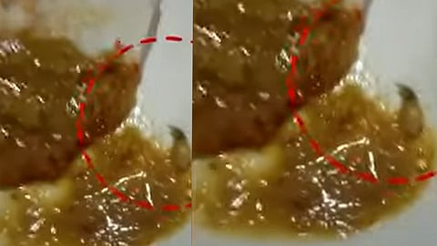  കൊച്ചിയിൽ ഭക്ഷണസുരക്ഷാ വകുപ്പിന്റെ പരിശോധന