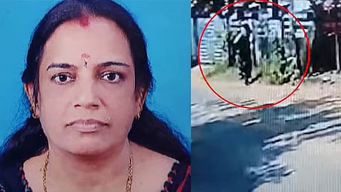 രജനി