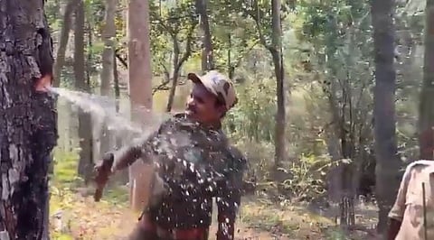 മരം മുറിച്ചപ്പോല്‍ പൈപ്പ് തുറന്നതുപോലെ വെളളം 
