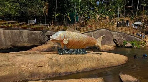 meenpidippara