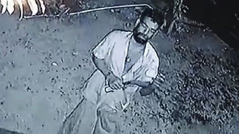 mango theft