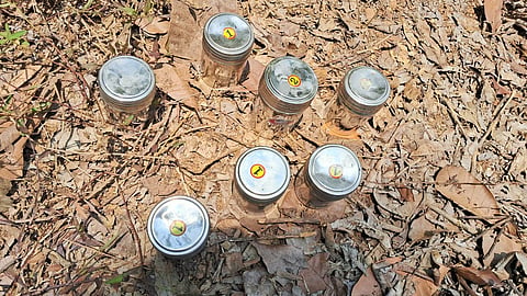 panur steel bomb